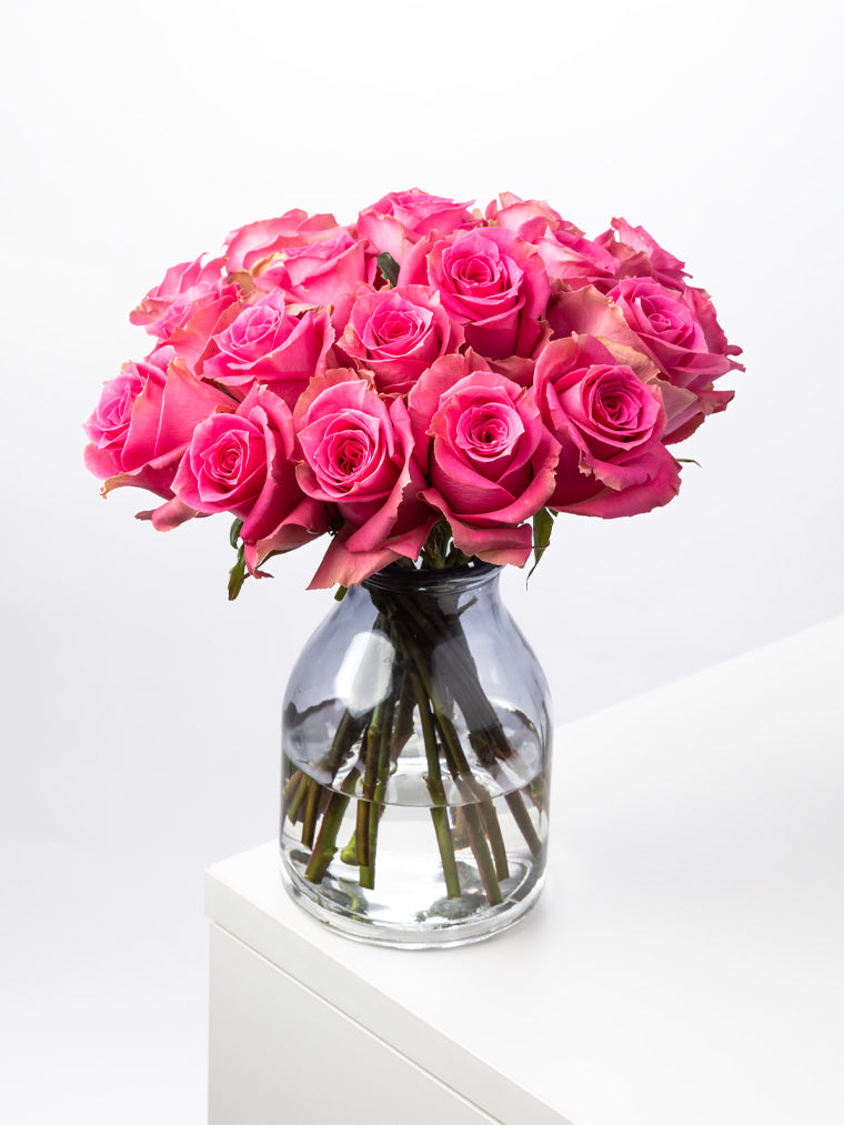 Premium Kenyan Roses grown at High-altitude