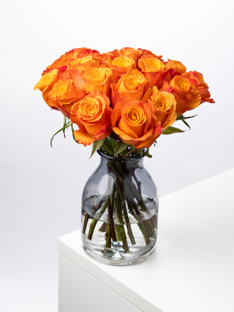 Premium Kenyan Roses grown at High-altitude