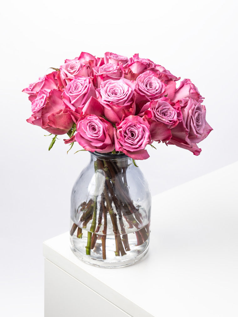 Premium Kenyan Roses grown at High-altitude