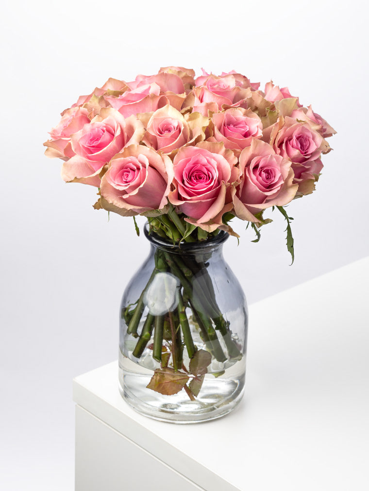 Premium Kenyan Roses grown at High-altitude
