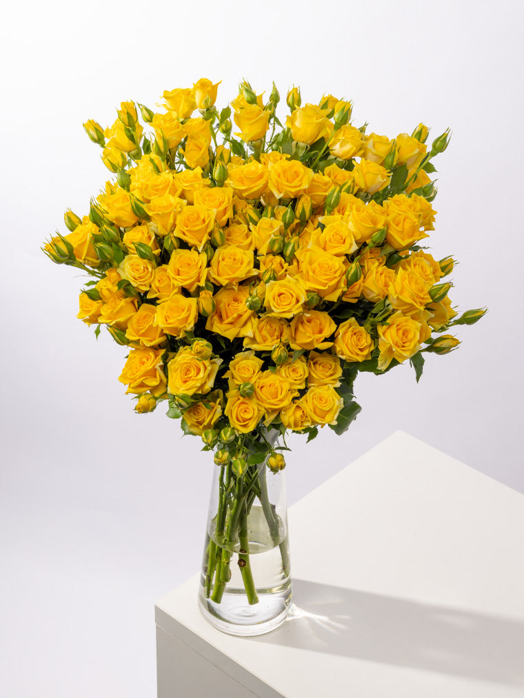 Impressive Kenyan Spray Roses