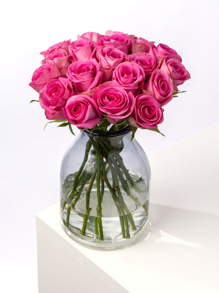 High quality Kenyan roses