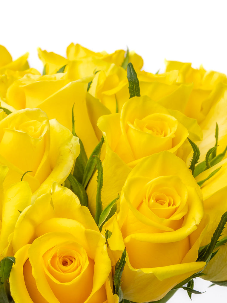 Premium Kenyan Roses