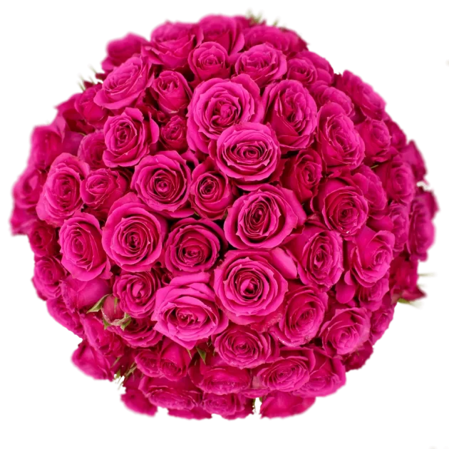 Outstanding Ecuadorian Spray Roses from a specialist Spray Rose farm