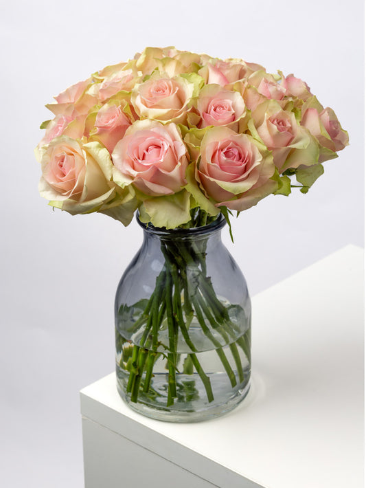 High quality Kenyan roses