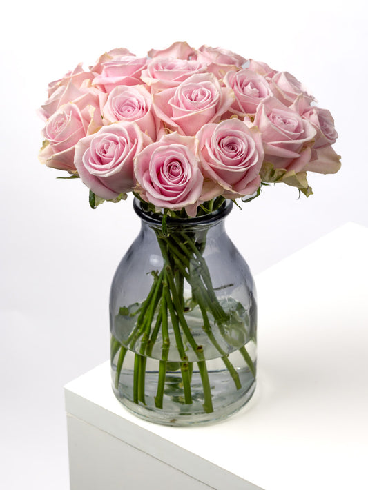 Premium Kenyan Roses