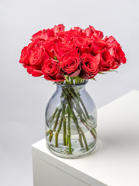 High quality Kenyan roses