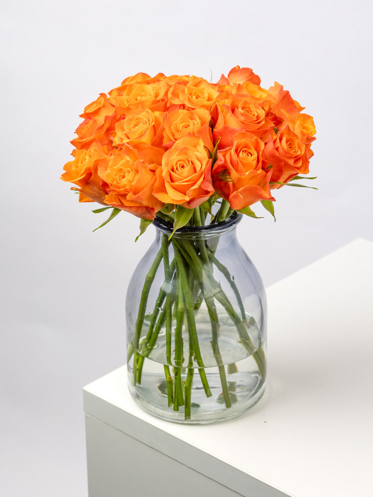 Premium Kenyan Roses