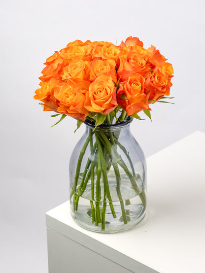 Premium Kenyan Roses