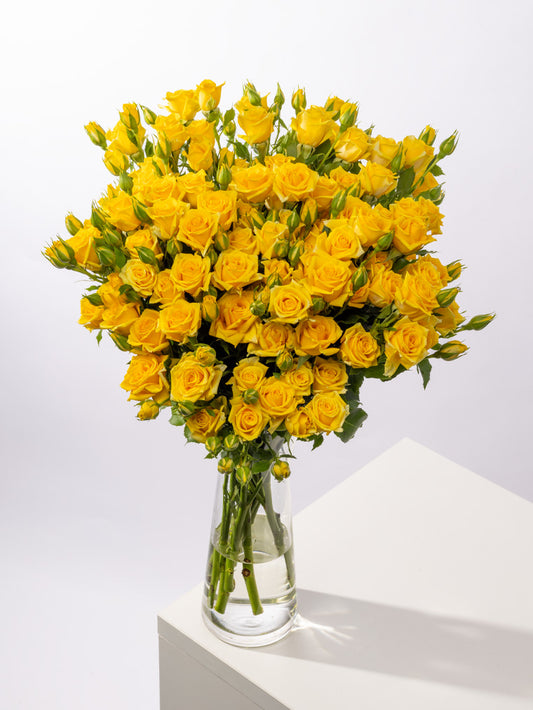 Impressive Kenyan Spray Roses 