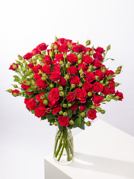 Impressive Kenyan Spray Roses 