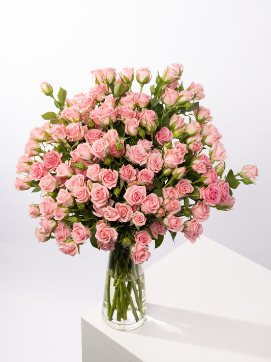 Impressive Kenyan Spray Roses 