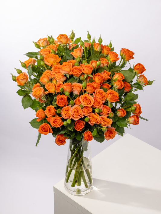 Impressive Kenyan Spray Roses 