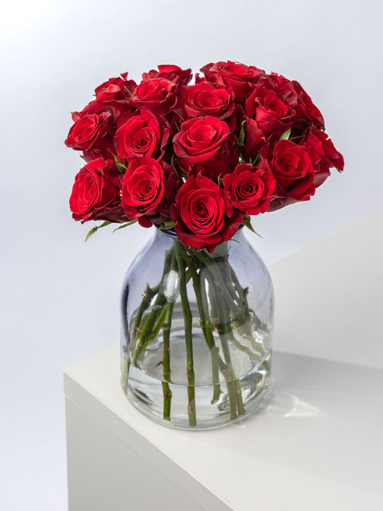 High quality Kenyan roses