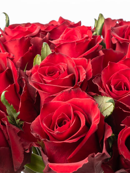 Premium Kenyan Roses grown at High-altitude
