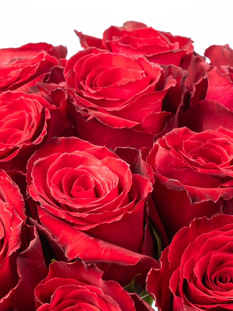 Premium Kenyan Roses grown at High-altitude