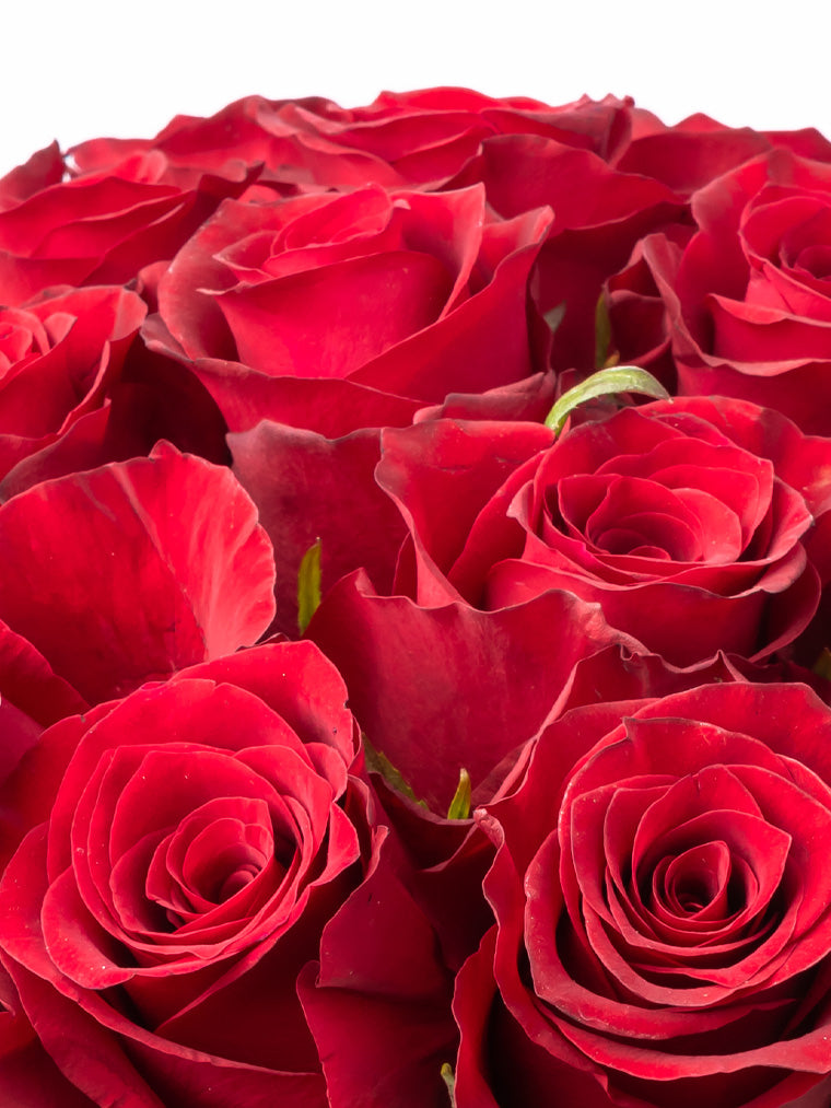 Premium Kenyan Roses grown at High-altitude