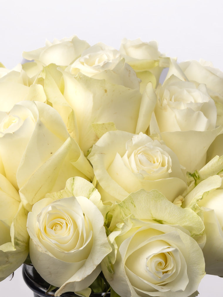 Premium Kenyan Roses grown at High-altitude