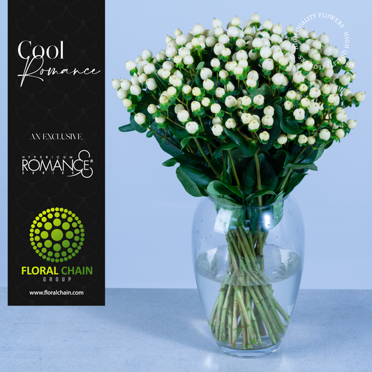Hypericum Spray White Cool Romance Floral Chain
