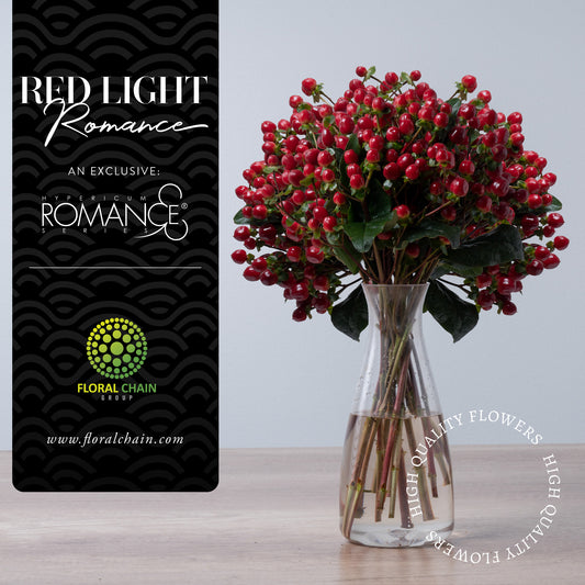 Hypericum Single Red Red-light Romance Floral Chain