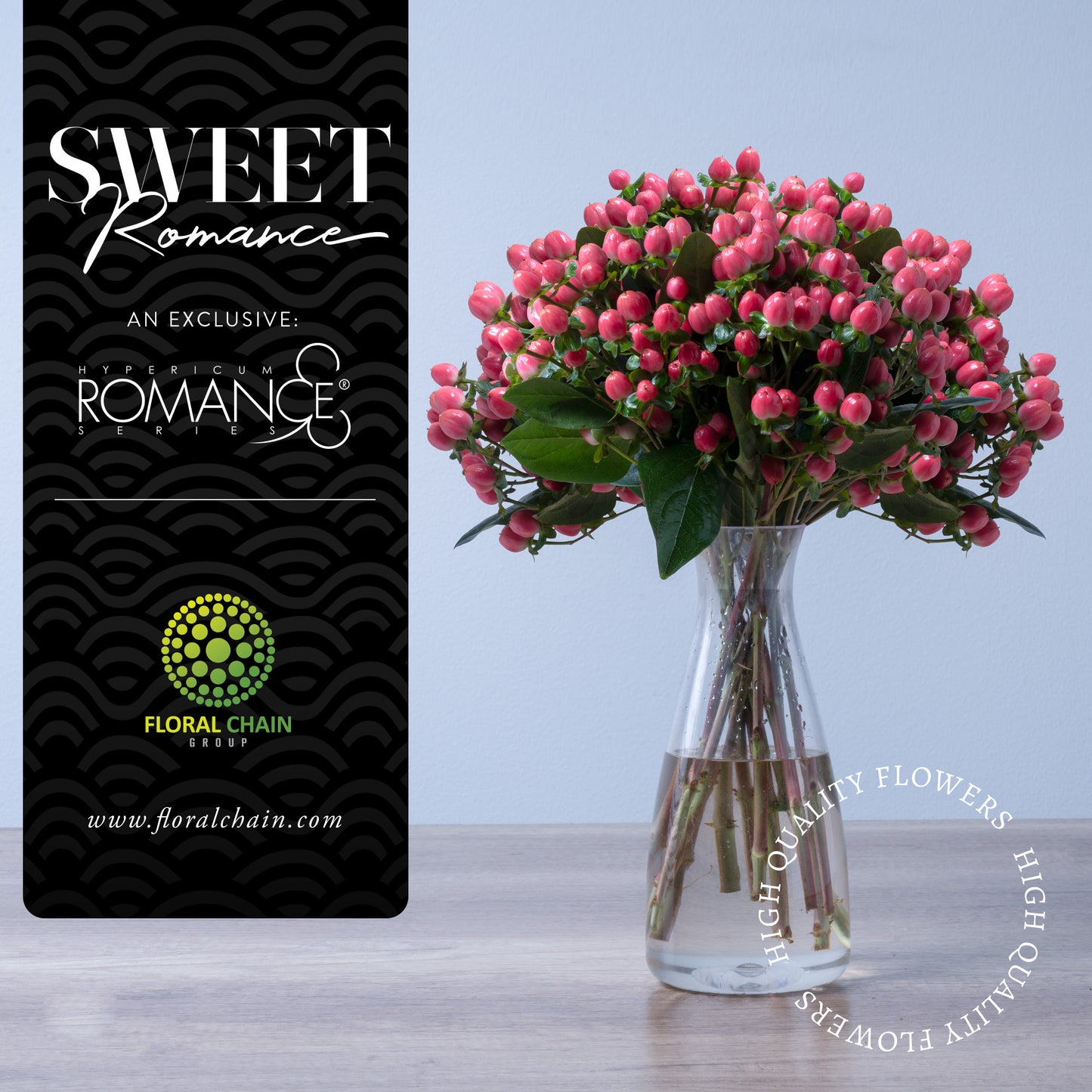 Hypericum Single Pink Sweet Romance Floral Chain