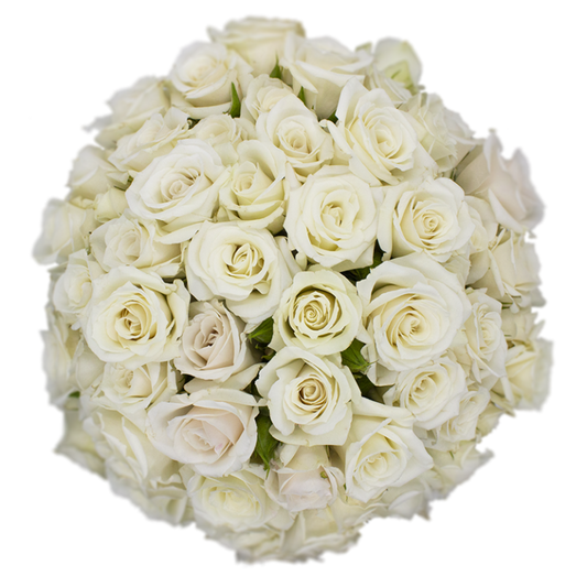 Outstanding Ecuadorian Spray Roses from a specialist Spray Rose farm