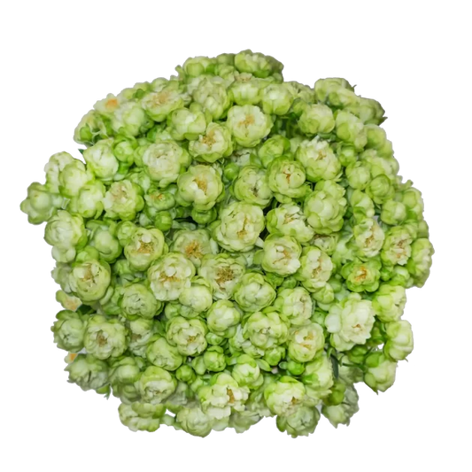 Outstanding Ecuadorian Spray Roses from a specialist Spray Rose farm